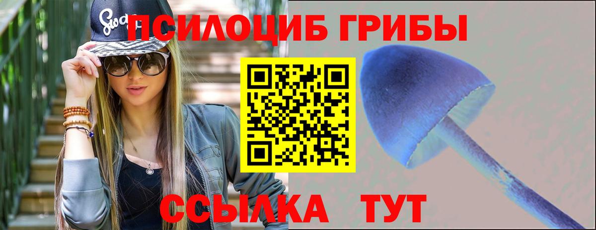 Галлюциногенные грибы Cubensis Гусь-Хрустальный