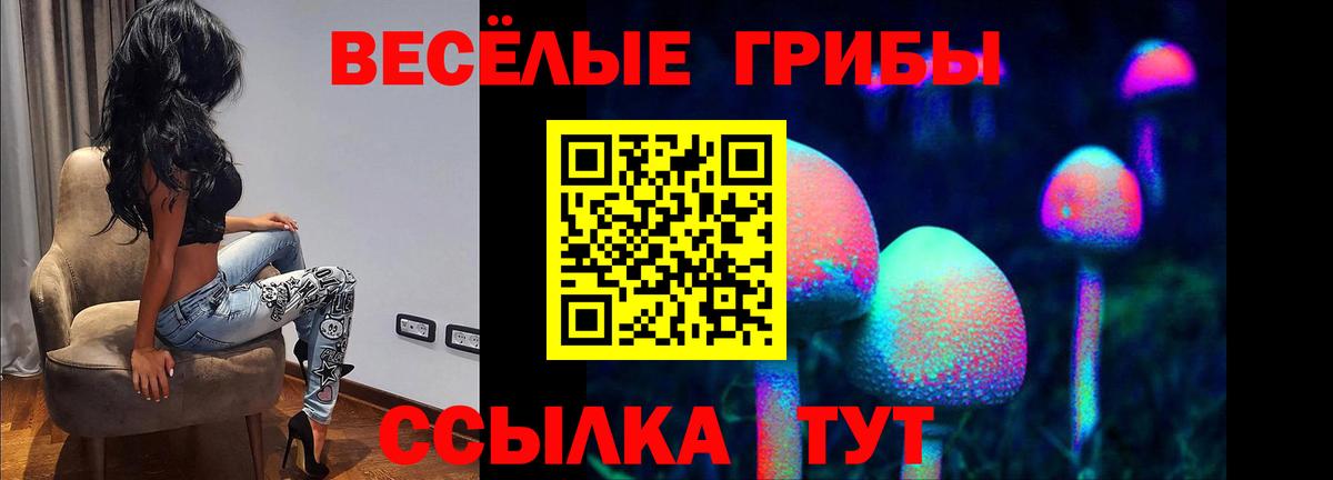 Галлюциногенные грибы мицелий  Вход с VPN  хочу   Гусь-Хрустальный 